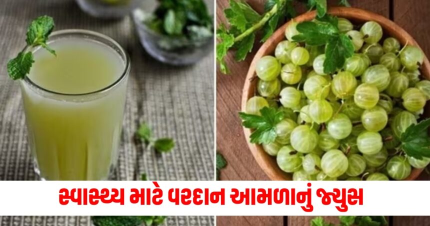વહેલી સવારે ખાલી પીવો ઔષધીય ગુણોના ખજાના વાળું આ ફળનું જ્યુસ, તમારા ભરી દેશે ભરપૂર ઉત્સાહ 1 Drink this fruit juice which is full of m