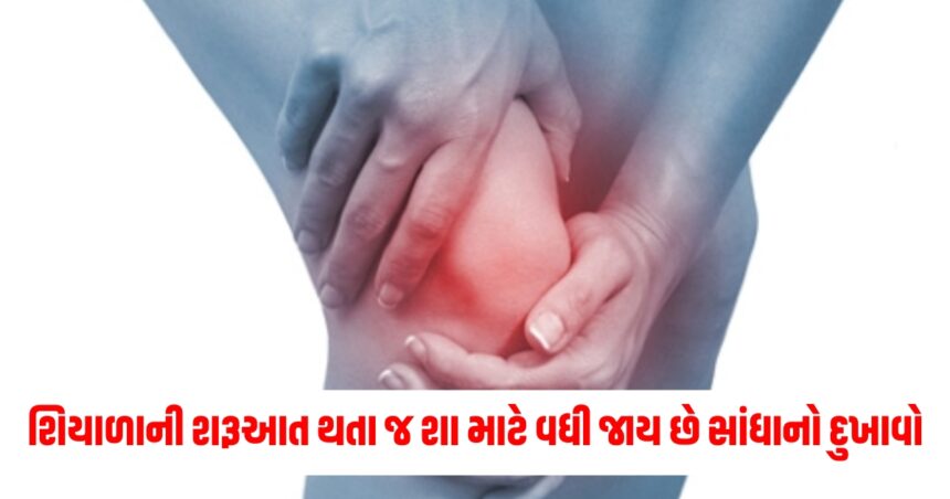શિયાળાની શરૂઆત થતા જ શા માટે વધી જાય છે સાંધાનો દુખાવો, જાણો શું છે કારણ 1 Gujju Media Feature Photo 31