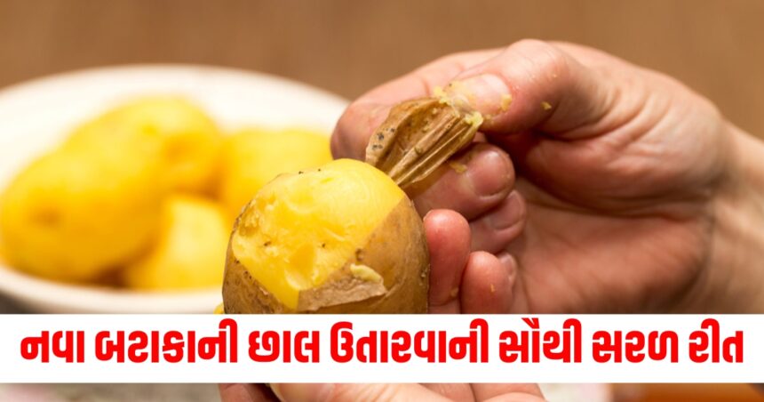 નવા બટાકાની છાલ ઉતારવાની સૌથી સરળ રીત, છરી વગર પળવારમાં થઈ જશે કામ, અપનાવો આ ટ્રિક 1 Gujju Media Feature Photo 58