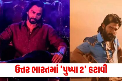 Gujju Media Feature Photo 74