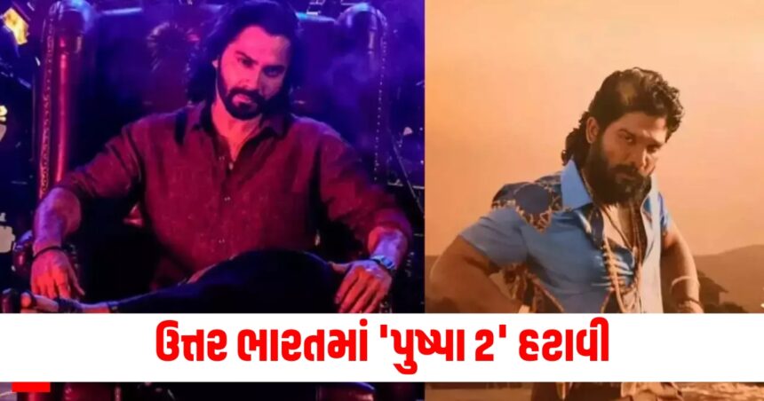 ઉત્તર ભારતમાં 'પુષ્પા 2' હટાવી, વરુણ ધવનની 'બેબી જોન' સાથે થયો વિવાદ. 1 Gujju Media Feature Photo 74