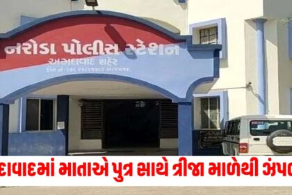 ahmedabad mother jumps with son from third floor both di