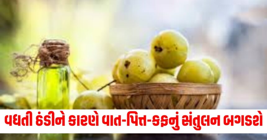 વધતી ઠંડીને કારણે વાત-પિત્ત-કફનું સંતુલન બગડશે, તેનાથી બચવા માટે અપનાવો રામબાણ ઉપાય 1 ayurrvedic