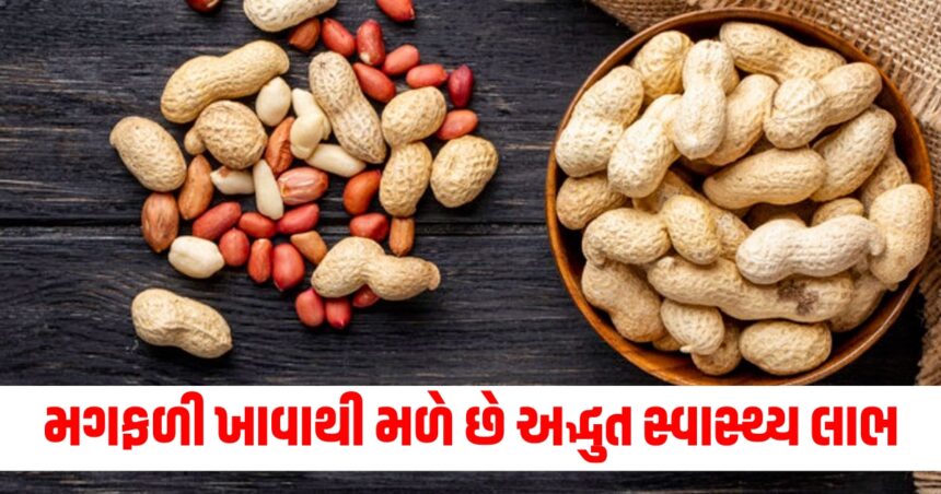 મગફળી ખાવાથી મળે છે અદ્ભુત સ્વાસ્થ્ય લાભ, જાણો શિયાળામાં તેનું સેવન કેરી રીતે કરવું જોઈએ? 1 eating peanuts provides many health benefits know why it should be consumed in winters mungfali