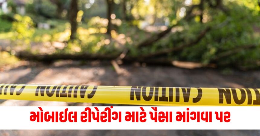 મોબાઈલ રીપેરીંગ માટે પૈસા માંગવા પર છોકરાએ તેના મિત્રની હત્યા કરી 1 gujarat