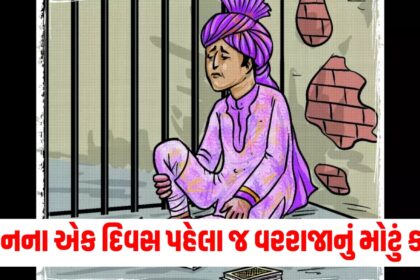 gujarat rander district police have arrested 13 people including groom accused gambling from marriage hall2