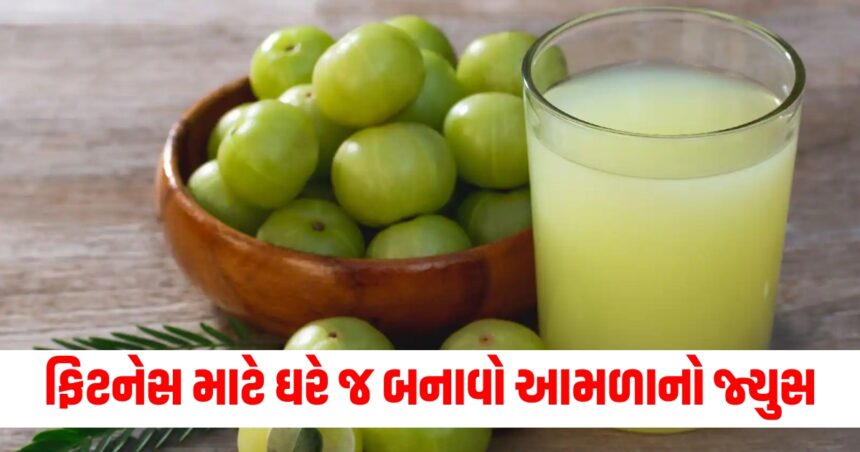 ફિટનેસ માટે ઘરે જ બનાવો આમળાનો જ્યુસ, સ્વાદ વધારવા માટે અનુસરો આ રેસીપી 1 how to make tasty amla juice easy recipe to follow at home87