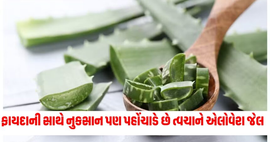 ફાયદાની સાથે નુકસાન પણ પહોંચાડે છે ત્વચાને એલોવેરા જેલ ,તમારે એ પણ જાણવું જોઈએ 1 jel