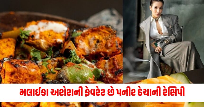 મલાઈકા અરોરાની ફેવરેટ છે પનીર ઢેચા, સ્વાદિષ્ટ એવી કે આંગળા ચાટતા રહી જશો; નોંધી લો રેસિપી 1 know how to make paneer thecha recipe in a easy way paneer thecha kaise banaye