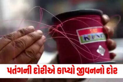 patang