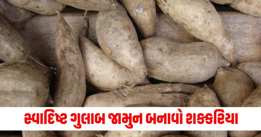 શક્કરિયામાંથી બનાવો એકદમ સ્વાદિષ્ટ ગુલાબ જામુન, ફટાફટ નોંધી લો રેસિપી 1 potato3