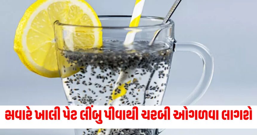 સવારે ખાલી પેટ લીંબુ પીવાથી ચરબી ઓગળવા લાગશે, જાણો તેના અદ્ભૂત ફાયદા 1 seeds