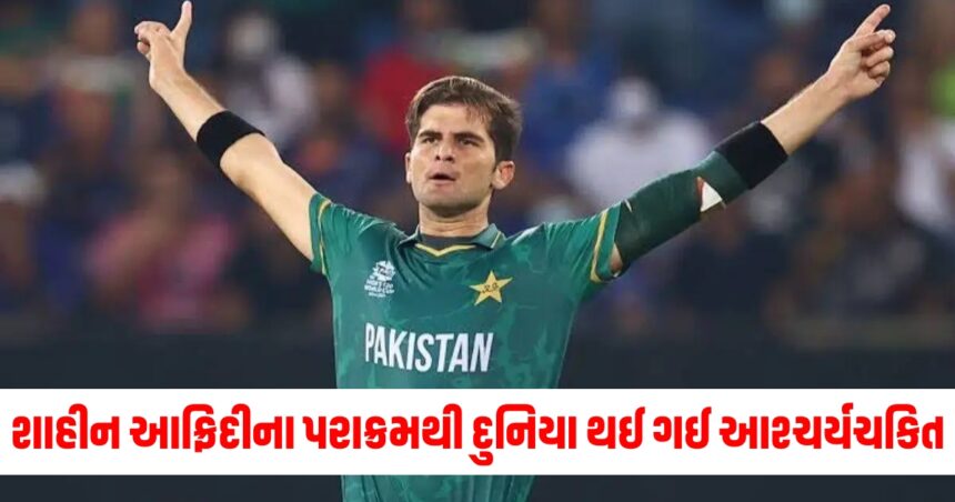 શાહીન આફ્રિદીના પરાક્રમથી દુનિયા થઈ ગઈ આશ્ચર્યચકિત , આવું કરનાર પ્રથમ પાકિસ્તાની ખેલાડી બન્યો. 1 shahid1