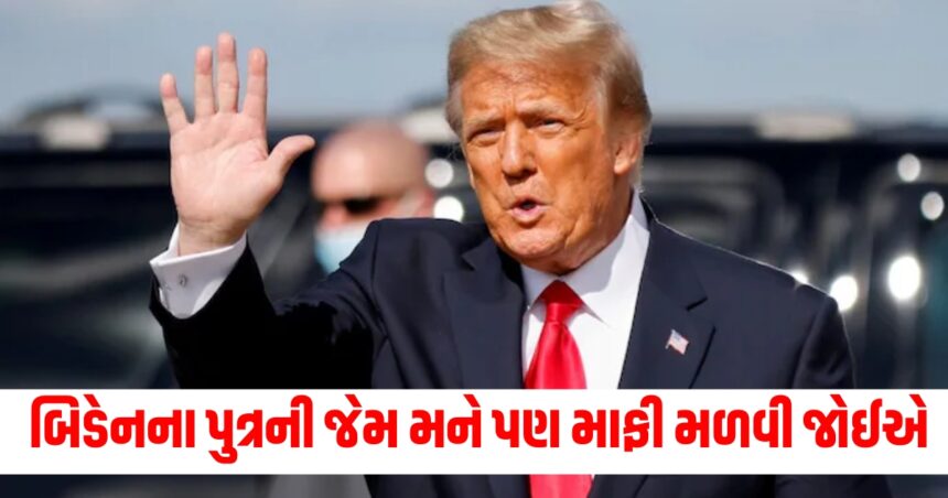 બિડેનના પુત્રની જેમ મને પણ માફી મળવી જોઈએ, ફોજદારી કેસોમાં દોષિત ઠેરવવા ટ્રમ્પની અરજી 1 trump 1