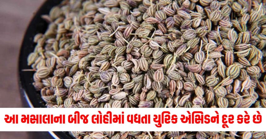 આ મસાલાના બીજ લોહીમાં વધતા યુરિક એસિડને દૂર કરે છે અને તેને બહાર ફેંકી દે છે, તેને પાણીમાં ઉકાળીને આ રીતે ઉપયોગ કરો. 1 what are the benefits of ajwain water in uric acid how to make ajwain ka pani for gout