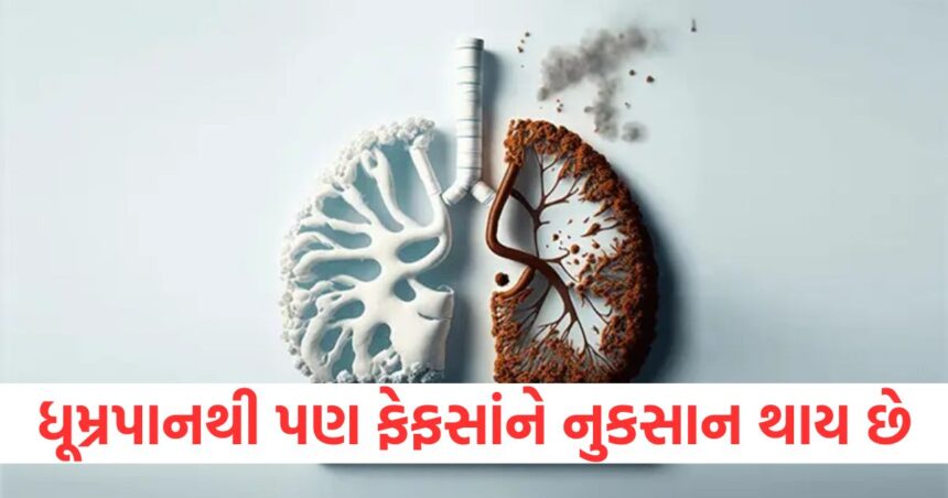 તમે ધૂમ્રપાન નથી કરતા, જો તમે ધૂમ્રપાન કરનારાઓ સાથે ઉભા રહો છો તો તમારા ફેફસાં પણ જોખમમાં છે. 1 GUJJU MEDIA FEATURE PHOTO 1 6