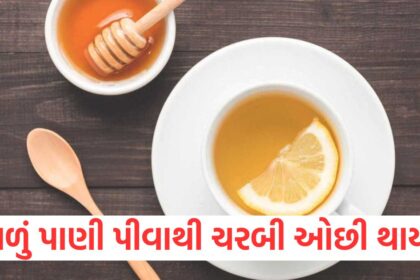 GUJJU MEDIA FEATURE PHOTO 10 10