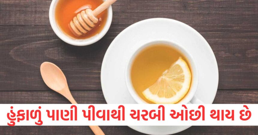 આ એક વસ્તુને હુંફાળા પાણીમાં મિક્સ કરીને પીવાથી એક મહિનામાં શરીરમાં જમા થયેલી ચરબી ઓછી થવા લાગશે. 1 GUJJU MEDIA FEATURE PHOTO 10 10