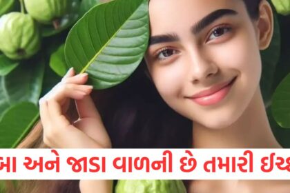 GUJJU MEDIA FEATURE PHOTO 10 7