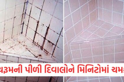 GUJJU MEDIA FEATURE PHOTO 12 2