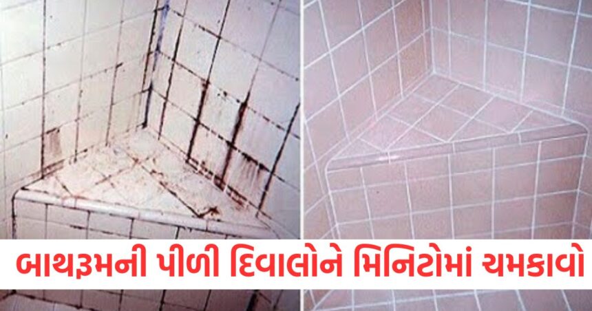બાથરૂમની પીળી દિવાલોને મિનિટોમાં ચમકાવો, સાબુને બદલે આ સોલ્યુશનનો ઉપયોગ કરો 1 GUJJU MEDIA FEATURE PHOTO 12 2