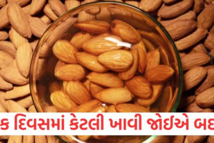 GUJJU MEDIA FEATURE PHOTO 15