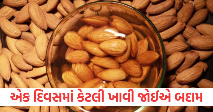 એક દિવસમાં કેટલી ખાવી જોઈએ બદામ, અને ક્યાં સમયે ખાવાથી સ્વાસ્થ્યને મળે છે વધુ ફાયદો 1 GUJJU MEDIA FEATURE PHOTO 15