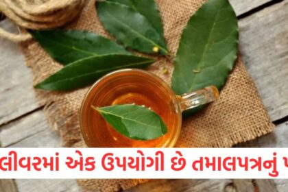 GUJJU MEDIA FEATURE PHOTO 24