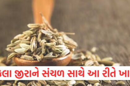 GUJJU MEDIA FEATURE PHOTO 27