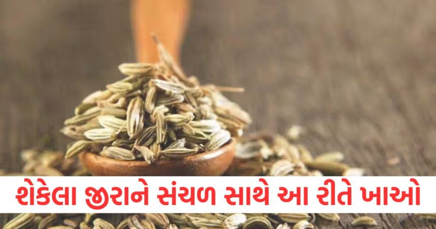 શેકેલા જીરાને સંચળ સાથે આ રીતે ખાઓ, વજન ઘટાડવા સહિત આ અદ્ભુત ફાયદાઓ મળશે 1 GUJJU MEDIA FEATURE PHOTO 27