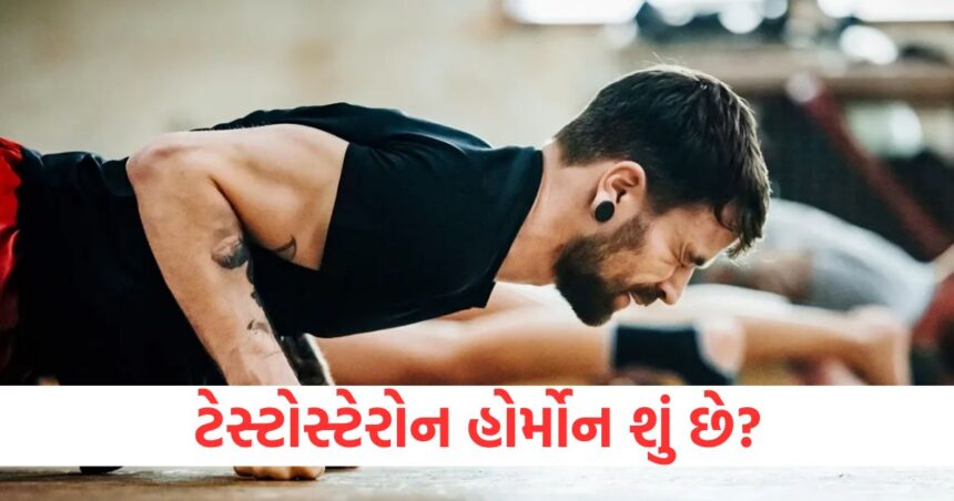ટેસ્ટોસ્ટેરોન હોર્મોન શું છે? સ્ત્રીઓ અને પુરુષોમાં કેટલું હોવું જોઈએ સામાન્ય સ્તર 1 GUJJU MEDIA FEATURE PHOTO 29