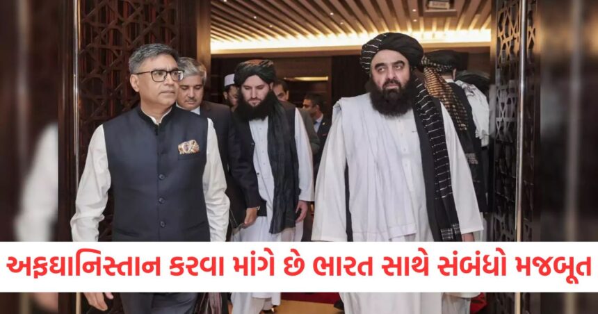 અફઘાનિસ્તાન કરવા માંગે છે ભારત સાથે સંબંધો મજબૂત, તાલિબાન સરકારે કહી આ મોટી વાત 1 GUJJU MEDIA FEATURE PHOTO 3 4