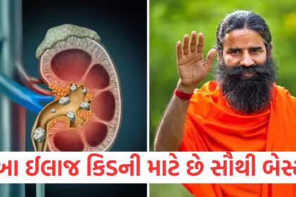 GUJJU MEDIA FEATURE PHOTO 31