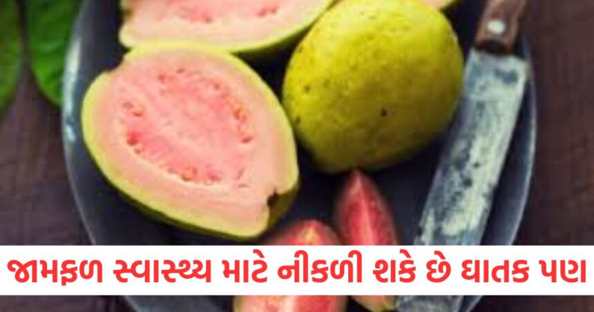 જામફળ સ્વાસ્થ્ય માટે નીકળી શકે છે ઘાતક પણ, જાણો કોણે ભૂલેચૂકે પણ ના ખાવું જોઈએ આ ફળ 1 GUJJU MEDIA FEATURE PHOTO 33