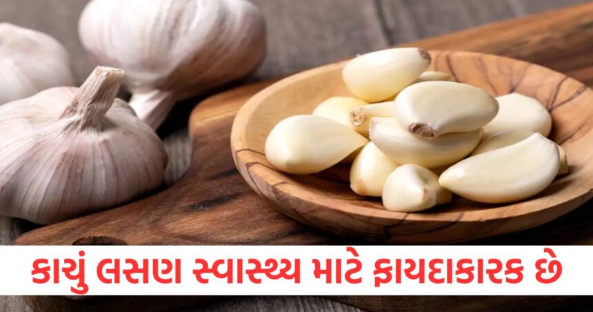 કાચું લસણ સ્વાસ્થ્ય માટે ફાયદાકારક છે, તેને દરરોજ ખાવાથી અનેક ફાયદા થાય છે. 1 GUJJU MEDIA FEATURE PHOTO 34