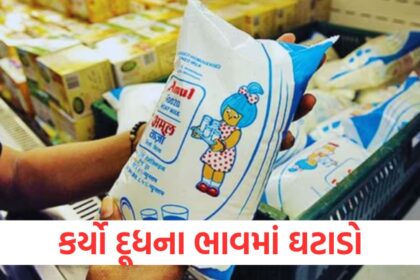 GUJJU MEDIA FEATURE PHOTO 5 12