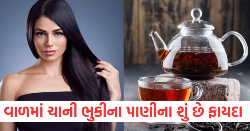 ચાની ભુકીનું પાણી વાળમાં લગાવવાથી શું ફાયદા થાય છે, જાણો તેનો ઉપયોગ કેવી રીતે કરવો? 1 GUJJU MEDIA FEATURE PHOTO 5 5