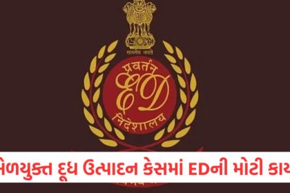 GUJJU MEDIA FEATURE PHOTO 6 16