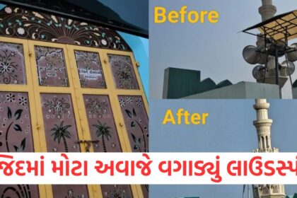 GUJJU MEDIA FEATURE PHOTO 7 10