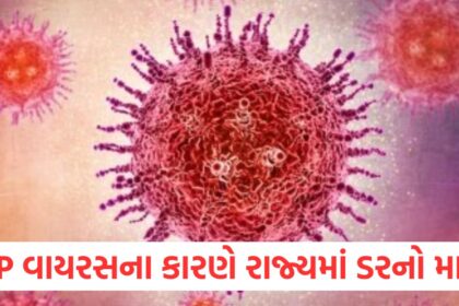 GUJJU MEDIA FEATURE PHOTO 7 2