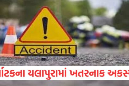 GUJJU MEDIA FEATURE PHOTO 8 10