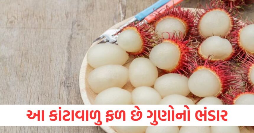Rambutan health benefits: આ કાંટાવાળુ ફળ છે ગુણોનો ભંડાર, આપશે વજન ઘટાડવાથી લઈને ચમકતી ત્વચા સુધીના ફાયદા 1 GUJJU MEDIA FEATURE PHOTO 8 14