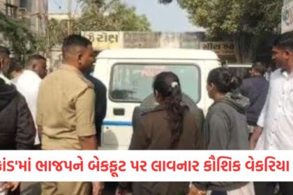 GUJJU MEDIA FEATURE PHOTO 8 4