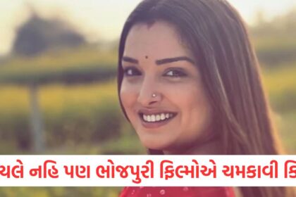 amrapali dubey became a star overnight from her debut bhojpuri films