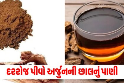 arjun ki chaal health benefits from blood pressure to diabetes