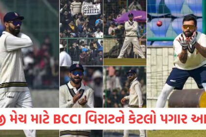 cricket how much salary will bcci give to virat to play ranji match know the fee of king kohli in match against railwaysWER