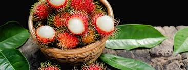 Rambutan health benefits: આ કાંટાવાળુ ફળ છે ગુણોનો ભંડાર, આપશે વજન ઘટાડવાથી લઈને ચમકતી ત્વચા સુધીના ફાયદા 2 fruit
