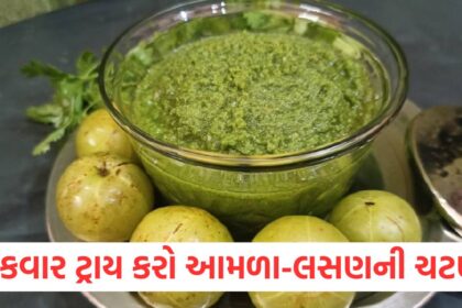 how to make amla garlic spicy chutney in winter season