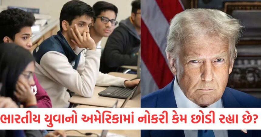 ભારતીય યુવાનો અમેરિકામાં નોકરી કેમ છોડી રહ્યા છે? ટ્રમ્પના કયા નિર્ણયથી વિદ્યાર્થીઓ ડરે છે? 1 indian students in us quit jobs in america immigration policiesWER