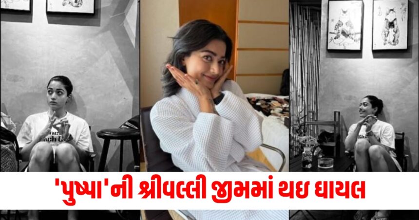 જીમમાં વર્કઆઉટ કરતા સમયે ઘાયલ થઇ શ્રીવલ્લી, મેગા બજેટ ફિલ્મનું શૂટિંગ મુલતવી રખાયું 1 rashmika mandanna injured in gym postponed shooting of sikandar